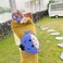 ChillNChic Soft Silicone Blue Eeyore Donkey Cover with Ring Strap for Apple AirPods Pro/Pro 2 Winnie The Pooh 3D Disney Cartoon Anime Cute Lovely Adorable Kids Girls Boys.