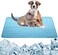 dgdgbaby Garne T Dog Cooling Mat Large Cooling Pad Machine Washable Summer Cooling Mat for Dogs Cats Kennel Pad PANYTAING Pet Self Cooling Blanket Dog Cret Sleep Mat (2228IN, Blue.