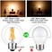 LiteHistory Dimmable E26 Edison Bulb G16. 5 Light Bulb 6W Equal 60 watt Light Bulb AC120V Warm 2700K E26 Light Bulb for Pendant,Chandeliers,Vanity,Wall sconces Edison Light Bulbs 60 Watt 600lm 6Pack.