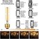 LiteHistory Dimmable E26 Edison Bulb 6W Equal 60 watt Light Bulb AC120V Warm White 2700K Edison Light Bulbs 60 Watt 600LM Tubular T10 led Bulb for Rustic Pendant,Chandeliers,Wall sconces,Vanity 6Pack.