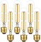LiteHistory Dimmable E26 Edison Bulb 6W Equal 60 watt Light Bulb AC120V Warm White 2700K Edison Light Bulbs 60 Watt 600LM Tubular T10 led Bulb for Rustic Pendant,Chandeliers,Wall sconces,Vanity 6Pack.