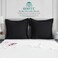 beddingstar European Square Pillow Shams Set Of 2 Black 600 Thread Count 100% Egyptian Cotton Pack Of 2 Euro 26X26 Black Pillow Shams Cushion Cover, Cases Decorative Pillow Covers (Black , European 26