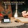 Wordsworth &amp; Black WordsworthBlack and Fountain Pen Ink Bottle (50 mlPremium Luxury Edition, [Racing Green] Fountain Pens Bottled Ink; Classic Designed Bottle Smooth Flow 50 ml.
