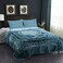 MERRY HOME JML Fleece Blanket King Size, Heavy Korean Mink Blanket 85 X 95 Inches- 9 Lbs, Single Ply, Soft and Warm, Thick Raschel Printed Mink Blanket for Autumn,Winter,Bed,Home,Gifts, (Teal.