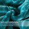 MERRY HOME JML Fleece Blanket King Size, Heavy Korean Mink Blanket 85 X 95 Inches- 9 Lbs, Single Ply, Soft and Warm, Thick Raschel Printed Mink Blanket for Autumn,Winter,Bed,Home,Gifts, (Teal.
