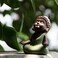 Kingzhuo Ceramic Tiny Cute Baby Buddha Statue Monk Figurine Cute Buddha Babies Baby Buddha Monk Home Decoration Zen Decor Peaceful Rulai Figurine (C.