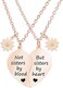MJartoria BFF Necklace for 2-Split Heart Necklace Not Sisters by Blood Pendant Best Friend Friendship Necklace Set of 2 Valentines Day Gifts for Her(Rose Gold, A-Daisy.