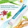 Ebanel Hemorrhoid Treatment Ointment (1. 6oz.