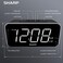 Sharp Alarm Clock Jumbo Easy to Read Display &ndash; 3 Step Dimmer Control &ndash; Dual Alarms, Battery Back-up, Black with White LED.