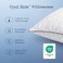 Coop Home Goods The Cool Side Standard Shape Pillow Case, Queen Size Cooling Pillow Cases for Hot Sleepers, Two-Sided Pillow Covers, Cozy SideCool Side, Ultra Soft Lulltra Cool Technology.