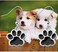 FEELMEM Dog Paw Earrings Cute Paw Print Dangle Earrings Dog Jewelry Gift for Dog Lover Dog Mom and Women Girls.