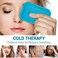 AlierGo Small Ice Packs (6 Packs.