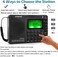 ZHIWHIS Portable Bluetooth Radio, FM AM Shortwave Radios with Sleep Timer and Preset Function, Rechargeable Digital Recorder, Stereo MP3 Player with Lyric Display, Support Micro SD Card and AUX.