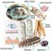 BLUE RIVER SAGE Home CleansingSmudging Kit with White , Palo Santo, AbaloneStand, Smudge FeatherGuide - Smudge Kit with Smudge Sticks.
