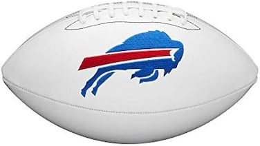 WILSON NFL Team Alliance Footballs.