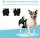 Avont 3 Pack Washable Female Dog Diapers (XS/6"-8. 5" Waist, Premium Reusable Highly Absorbent Doggie Diapers Wraps Durable Dog Diaper Cover -Black.
