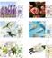 MYARO Sachets for Drawers and Closets Sachet Bags Closet Air Fresheners Hanging Large 12 Packs Potpourri Bags Long-Lasting 6 Scents Option- Lavender, Rose, Jasmine, Ocean, Vanilla, Lily.