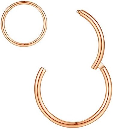 ORANGELOVE Hypoallergenic Nose Rings 20G 18G 16G 14G 12G 10G 8G 316l Surgical Steel Septum Jewelry Hinged Segment Ring Body Piercing Nose Hoop Lip Rings Nose Helix Cartilage Rook Earrings.