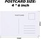 Zonon 60 Pieces Fun Facts Postcard Wild Animal Bird Seasonal Landscapes Funny Postcards 20 Designs Postcards for School Students Teacher Thank You Note Cards, 4 x 6 Inches (Fun Facts.