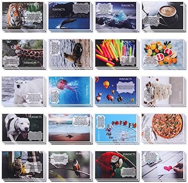 Zonon 60 Pieces Fun Facts Postcard Wild Animal Bird Seasonal Landscapes Funny Postcards 20 Designs Postcards for School Students Teacher Thank You Note Cards, 4 x 6 Inches (Fun Facts.