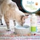 Oxyfresh Premium Pet Dental Care Solution Pet Water Additive: Best Way to Eliminate Bad Dog Breath and Cat Bad Breath - Fights TartarPlaque - So Easy, Just Add to Water. Vet Recommended 16 oz.