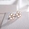 AllenCOCO 925 Sterling Silver Stud Earrings,Cute Flower Ear Studs for Women Girl,White/Black/Rose Gold Plated, Hypoallergenic Jewelry Gift, Metal, Cubic Zirconia,.