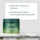 ALODIA NourishHydrate Deep Conditioning Masque with Avocado and Peppermint Oil to Restore Moisture and Strengthen Hair, 12 Ounces.