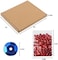 CCINEE Loose Sequins,Bulk 24 Assorted Colour Rainbow Round Cup Sequins for Sewing Craft Nails Decorations,16000PCS,6MM.