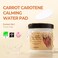 SKIN FOOD since 1957 SKINFOOD Carrot Carotene Calming Water Pad 250g (8. 81 oz.60 Sheets- Redness Relief Soothing Facial Toner Pads for Sensitive.