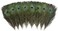 Ballinger 12 PCS Real Natural Peacock Eye Feathers 10-12 inch for DIY Craft, Wedding and Holiday Decorations.
