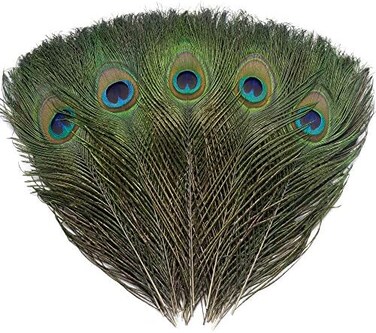 Ballinger 12 PCS Real Natural Peacock Eye Feathers 10-12 inch for DIY Craft, Wedding and Holiday Decorations.