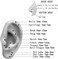FOLLOWMOON 316L Surgical Steel Nose Rings Hoop Septum Clicker Hinged Segment Ring Lip Ear Piercing Earrings for Cartilage Helix Tragus Conch Rook 20g 18g 16g 14g 12g 10g 8g,Inner Diameter 5mm to 22mm.