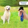 جهاز تدريب الكلاب الهوائي Canine Innovations Pet Convincer يتضمن 7 خراطيش.