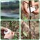 kulusion Wuhuwuhu Parafilm Grafting Tape for Fruit Trees Floral Tape Parafilm Grafting Tools Plant Tape Garden Plant Nursery Tape PE Stretchable Self Adhesive Membrane Clear Floristry (One Pack.