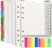 Nokingo A6 Refill Paper, 100 Sheets Lined Paper, 6 Hole Punched - 5 Binder Dividers, 3 PVC Pouches, 160 Colored Index Tabs, 1 Quick Page Finder, for Filofax Personal Planners, 3. 75 x 6. 75 Inch.
