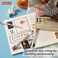 Shuttle Art Gel Ink Ball Point Pens, 15 Colors Japanese Style Pens, 0. 38mm Extra-Fine Ballpoint Pens for Home, School and Office.