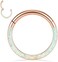 PEAKLINK 16G 18G 316L Stainless Steel CZ/OPAL Septum Piercing Septum Clicker Ring Hinged Nose Ring Daith Earrings Conch Piercing Jewelry Helix Cartilage Tragus Lobe Belly Hoop Earring.