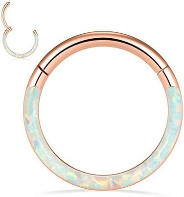PEAKLINK 16G 18G 316L Stainless Steel CZ/OPAL Septum Piercing Septum Clicker Ring Hinged Nose Ring Daith Earrings Conch Piercing Jewelry Helix Cartilage Tragus Lobe Belly Hoop Earring.