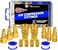 LE LEMATEC Air Compressor Fittings, Air Compressor Hose Kit, 15pcs Air Line Fittings and 1/4 inch NPT Quick Connects.