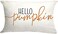 GTEXT 12x20 inch Fall Throw Pillow Cover Hello Pumpkin Cushion Cover Autumn Decor Fall Pumpkins, Outdoor Pillow Linen Square Pillow Cover for Cushion,Sofa Fall Pillow Cover.