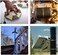 Steelsoft Stainless Steel Hose Clamp System, Custom, Odd Sizes 3''-37''Diameter, 9. 8 FT Band6 Fasteners, Super Easy to Use for Ductwork, Muffler, Pole Mount, Metal Strapping.