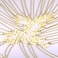 Susook Number Necklaces Personalized Necklaces 18K Gold Plated Initial Number Pendant Stainless Steel Chain Sports Necklaces for Men Women.