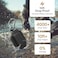 Catalyst Total Protection Case for AirPods Pro - Stealth Black.