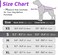 Eagloo Dog No Pull Vest Harness, Purple, Small.