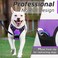 Eagloo Dog No Pull Vest Harness, Purple, Small.
