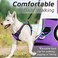 Eagloo Dog No Pull Vest Harness, Purple, Small.