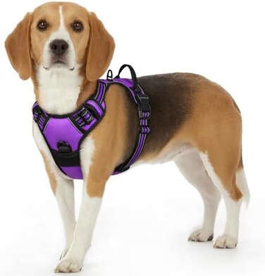 Eagloo Dog No Pull Vest Harness, Purple, Small.