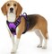 Eagloo Dog No Pull Vest Harness, Purple, Small.