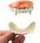 Marrywindix 12 Pieces Gnarly Teeth Gag Teeth Ugly Fake Teeth Vampire Denture Teeth for Halloween Costume Party Favors Photos Props (12 Styles.