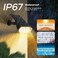 Linkind Solar Spot Lights Outdoor, IP67 Waterproof, Multicolor, 2 Pack.